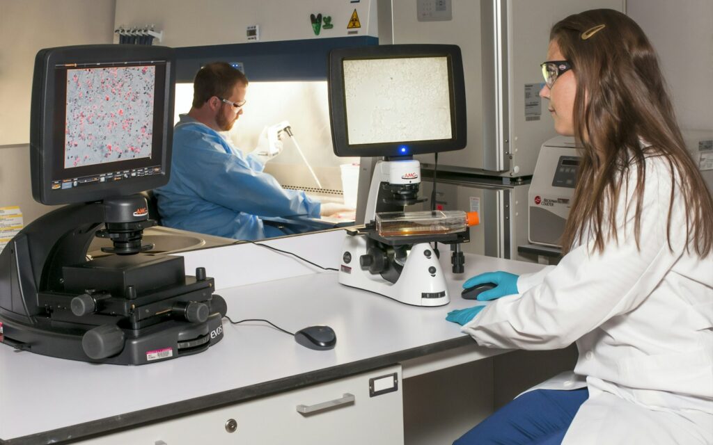Petri dishes in a laboratory representing organoid cell culture research